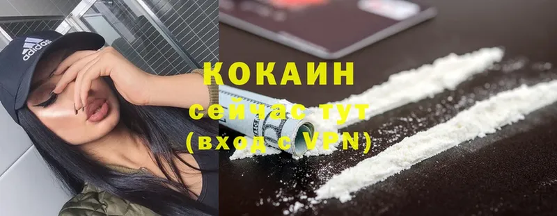 COCAIN Эквадор  сколько стоит  Гудермес 